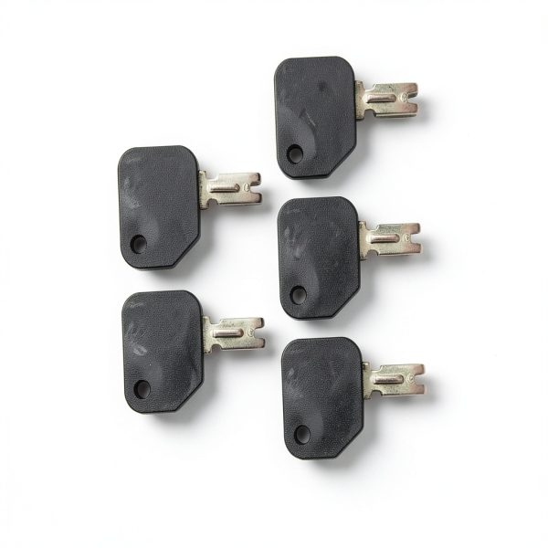 Forklift Key 5 PCS 186304 166 1430 Black AIB2C Hyster S30XL-1