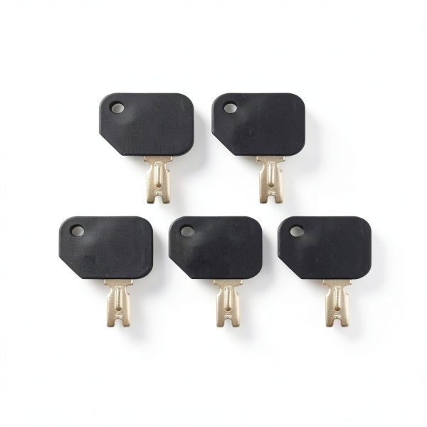 Forklift Key 5 PCS 186304 166 1430 Black AIB2C Hyster S30XL-0